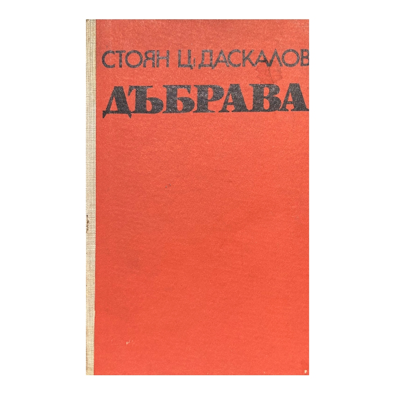 Нов проект (44) Дъбрава - Image 1