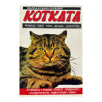 Котката