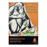 Човекоподобни маймуни